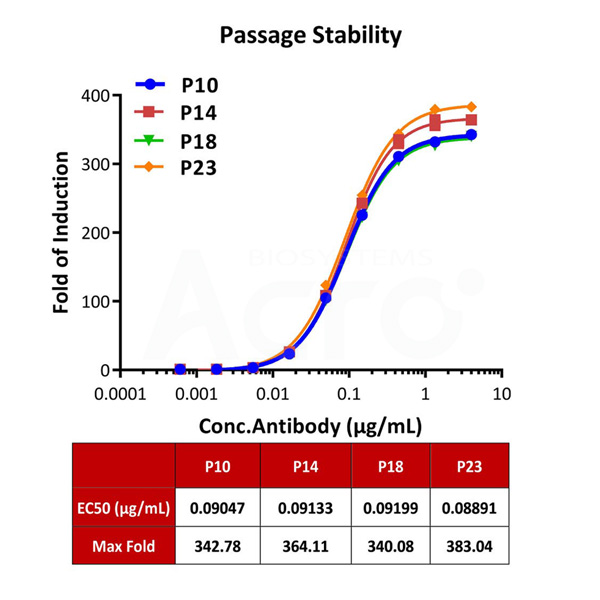 Human CD32a (131H) (Luc) Jurkat Reporter Cell Development Service (Cat.No. SCJUR-STF069)