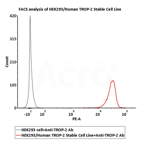 TROP-2过表达细胞株活性验证-FACS