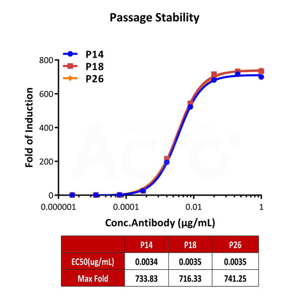 Human CD16a (158V) (Luc) Jurkat Reporter Cell Development Service (Cat.No. SCJUR-STF067)