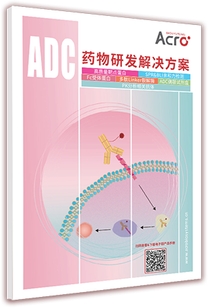 ADC药物研发研发解决方案