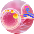 Aneuro，助力脑科学研究