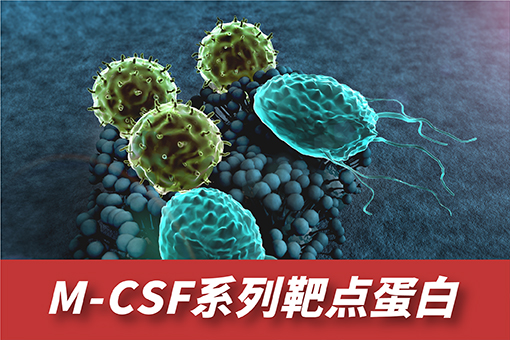 M_CSF系列靶点蛋白