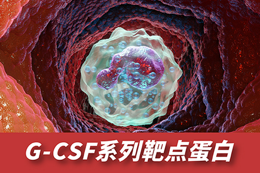 G_CSF系列靶点蛋白