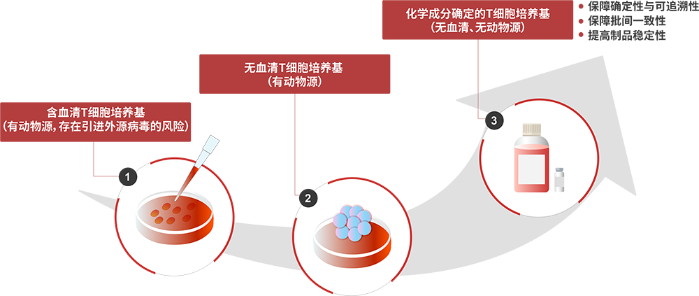 CelThera™GMP级别T细胞细胞培养基