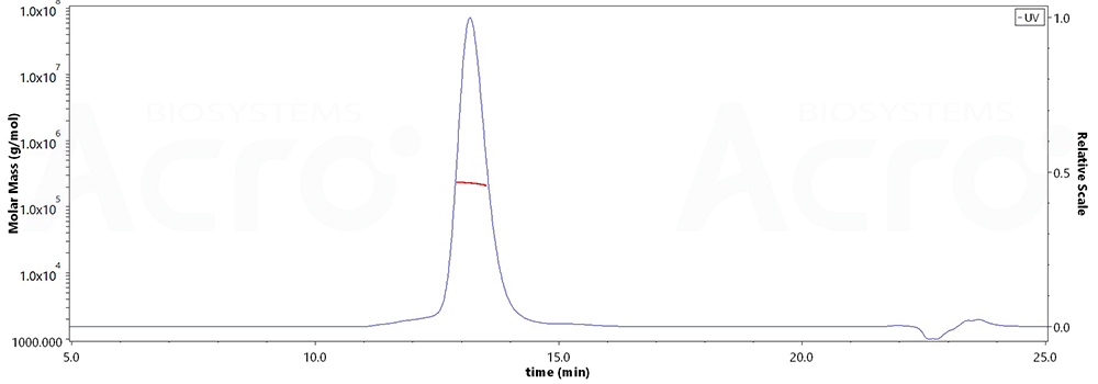 Glycoprotein H & Glycoprotein L/gH & gL (HCMV)