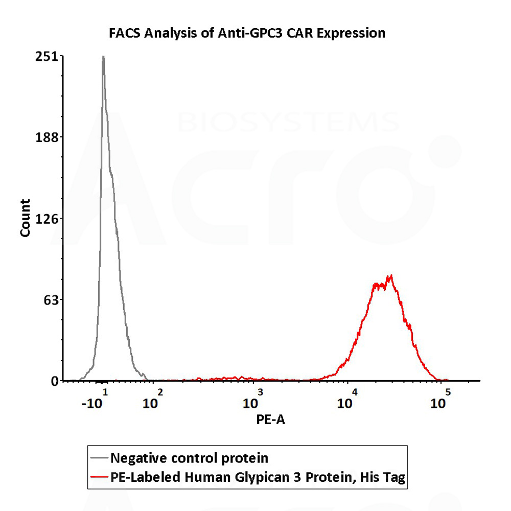 PE-标记 GPC3 高活性 经FACS验证