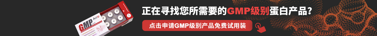 GMP级别重组DLL4蛋白