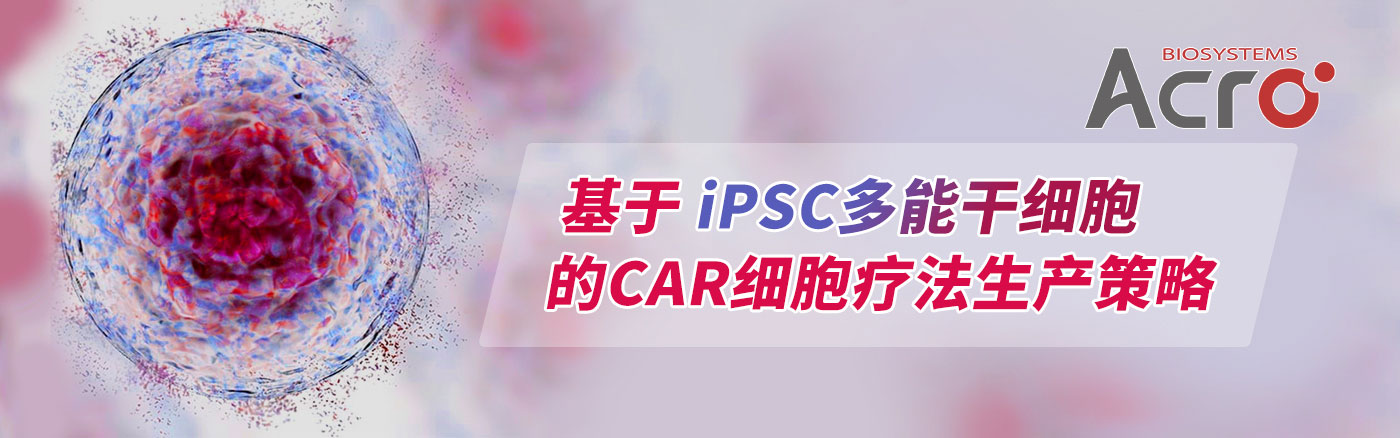 基于iPSC的CAR细胞疗法生产策略