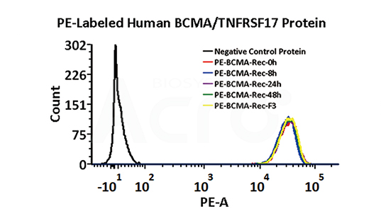 PE-BCMA高稳定性FACS验证数据图