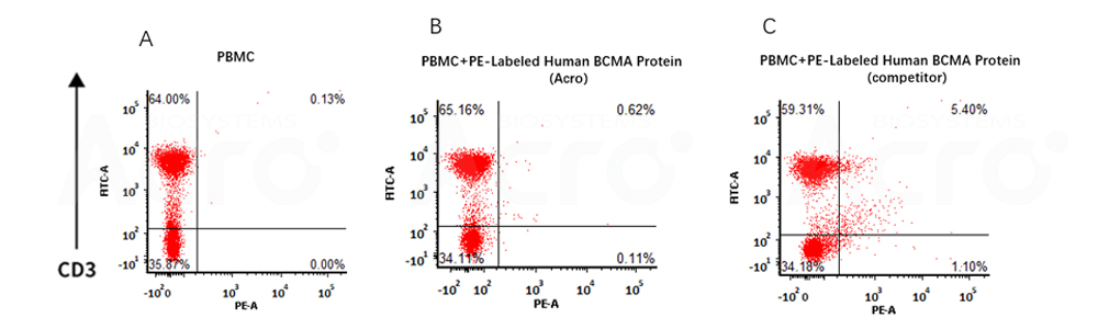 BCMA-PBMC  FACS验证数据图