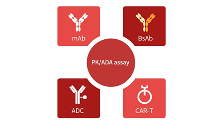 【前沿进展】ADC药物PK验证，岂能缺少抗MMAE抗体