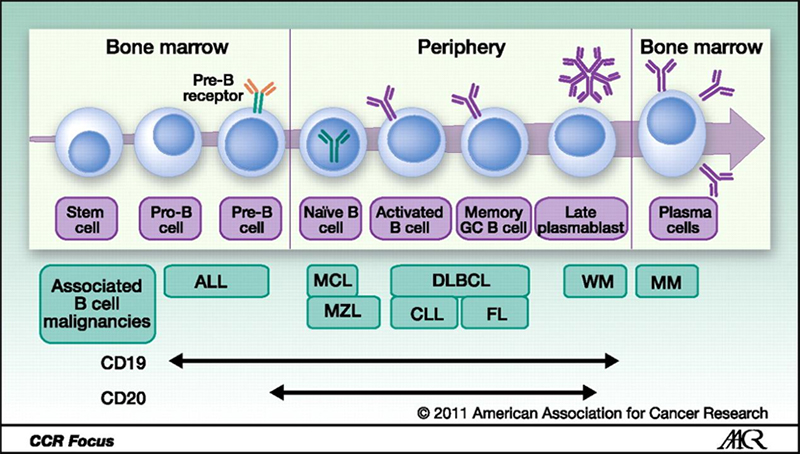 Clin Cancer Res. 2011