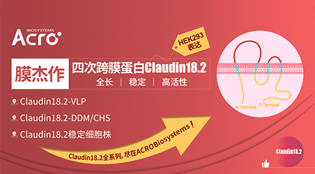 【靶点聚焦】您的Claudin 18.2抗体是特异的吗？| “膜杰作 ”Claudin 18.1现货发售