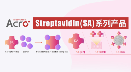 【ComboX】Streptavidin全系列产品：蛋白、包被板、磁珠应有尽有