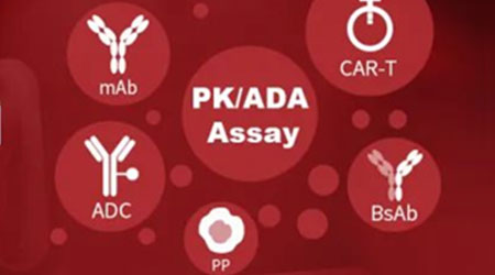 【ACRO服务】CAR细胞治疗药物PK/免疫原性检测的好帮手——抗独特型抗体