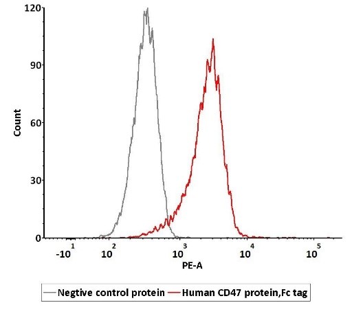 CD47与SIRPα的结合验证