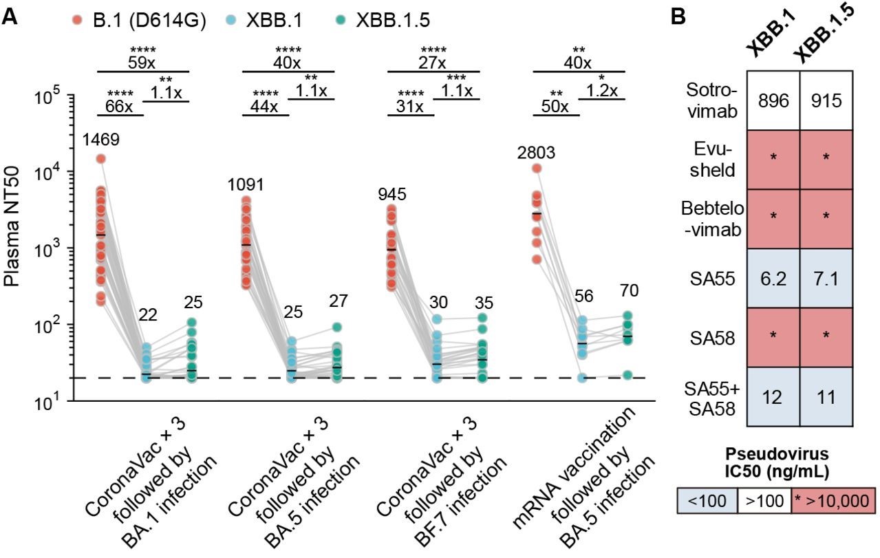 通过假病毒中和实验对XBB.1.5的免疫逃逸能力进行评估
