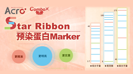 【ComboX】ComboX迎来新成员：Star Ribbon，很亮眼