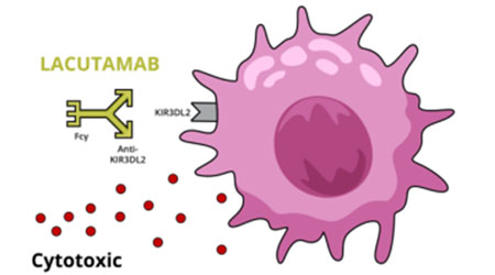 【前沿进展】NK细胞表面免疫检查点受体KIRs知多少