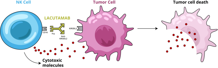 NK细胞表面的免疫检查点受体