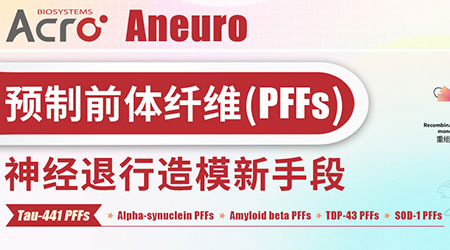 【Aneuro重磅新品】A-Syn PFFs，助力打造帕金森疾病模型