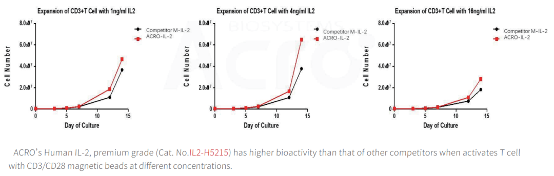 IL-2细胞因子与CD3/CD28抗体偶联磁珠联用可高活性激活培养T细胞