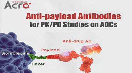【技术干货】抗Payload抗体：助力ADC药物表征
