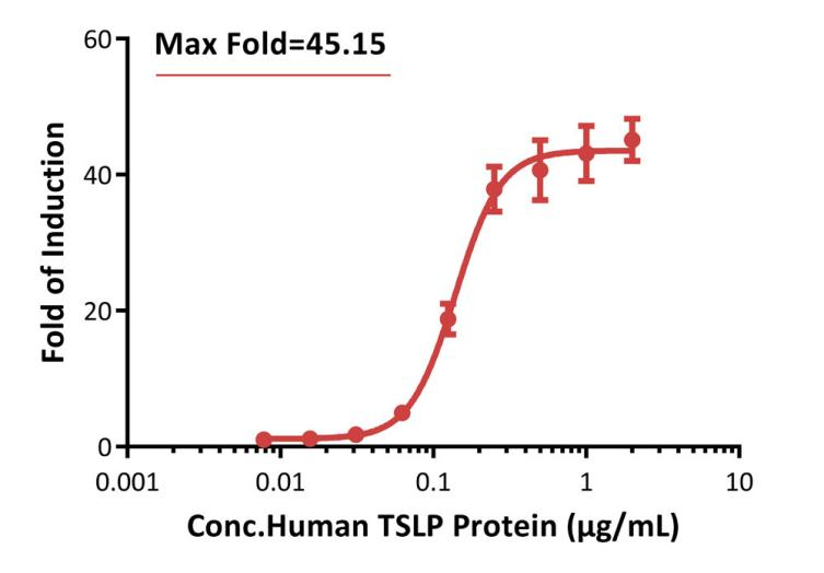 TSLP：Bioactivity CELL BASE