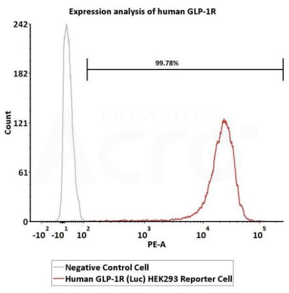 GLP-1R功能细胞株受体表达验证-FACS