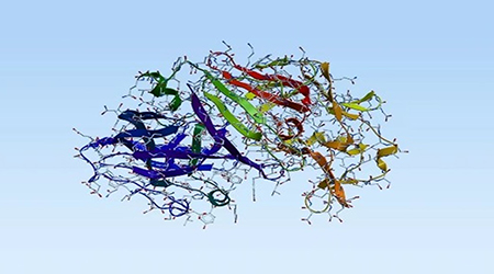 基质金属蛋白酶——多个领域“秀肌肉”