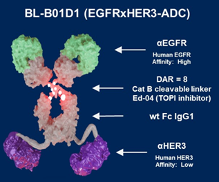 BL-B01D1结构图