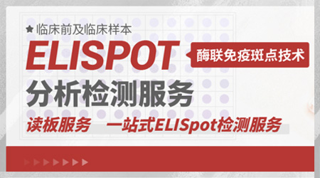 【全新上线】细胞免疫评价利器——ELISpot分析检测服务
