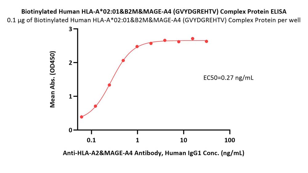 Anti-HLA-A2&MAGE-A4 Antibody