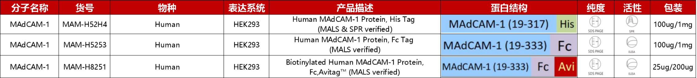 MAdCAM-1重组蛋白