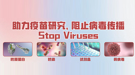 ViruStop：ACRO疫苗研发及效价评估核心工具——抗体对&ELISA检测试剂盒