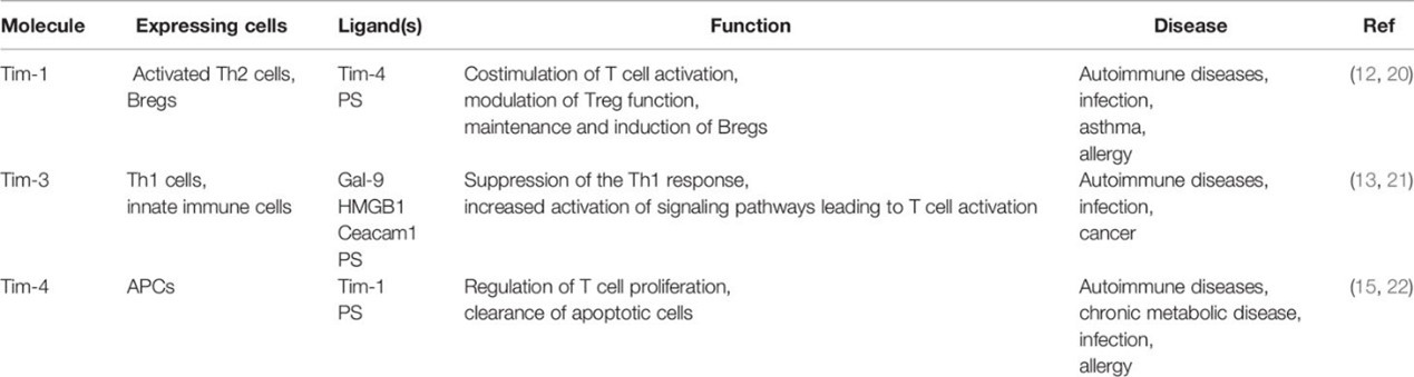 TIM-1、TIM-3、TIM-4的表达细胞、功能及适应症