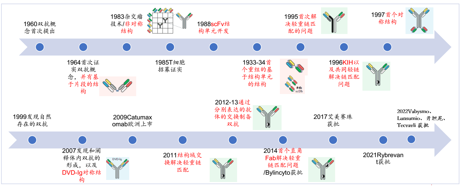 治疗性抗体和双特异性抗体开发时间轴