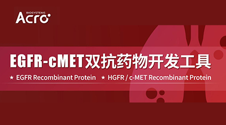 【双抗布局】——EGFR / c-MET：大厂必争的肺癌高地