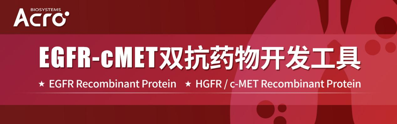 EGFR-cMET双抗药物开发工具