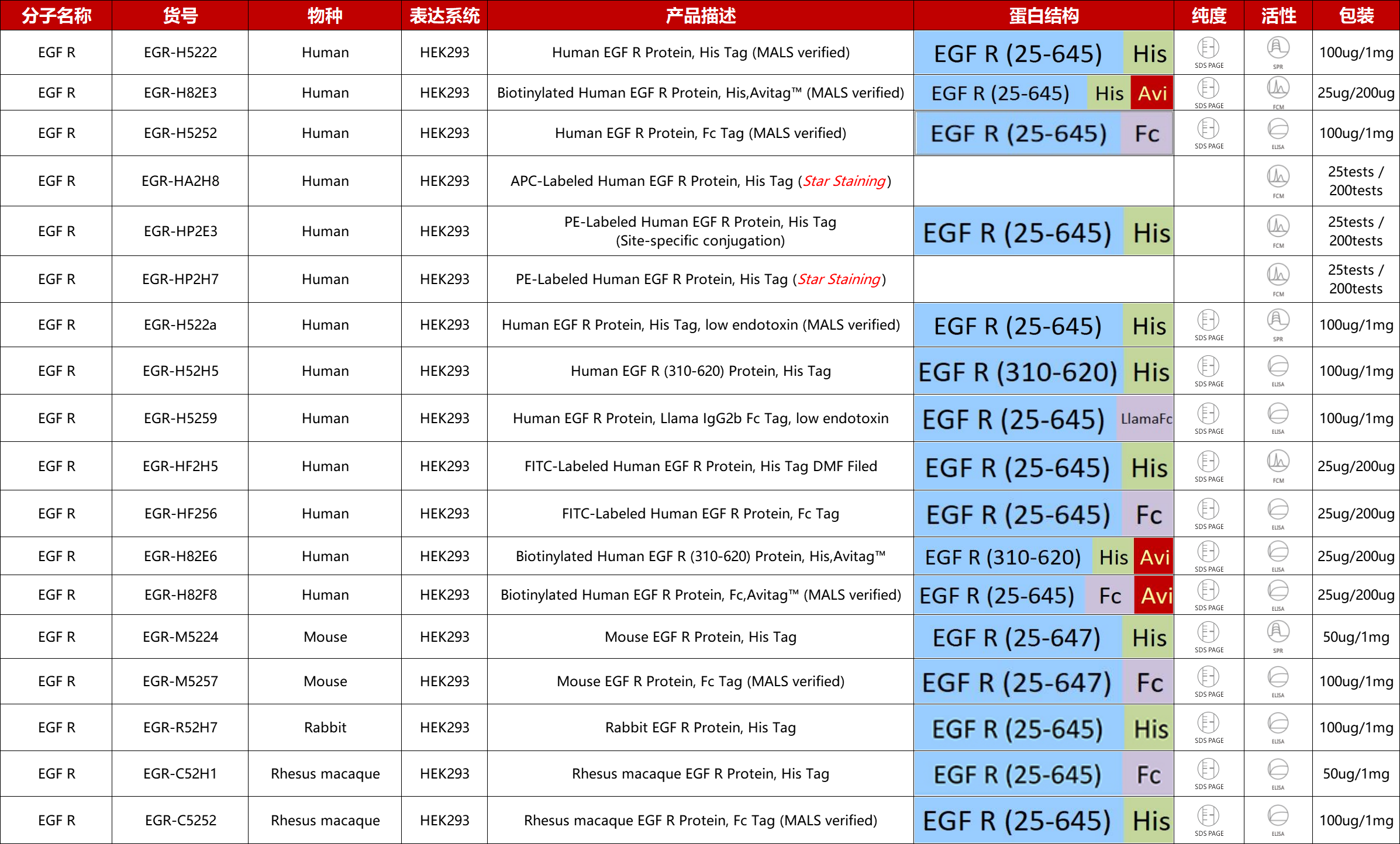EGFR重组蛋白产品列表
