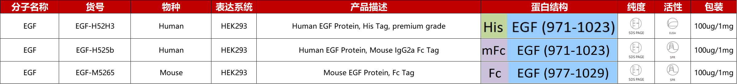 EGF重组蛋白产品列表