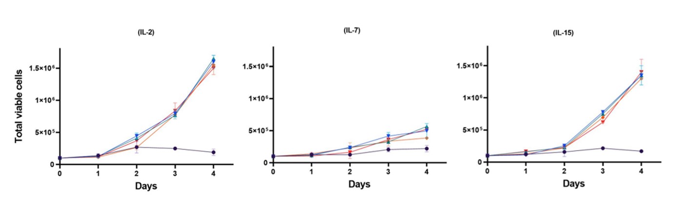 单细胞因子(IL-2、IL-7和IL-15)的T细胞生长动力学