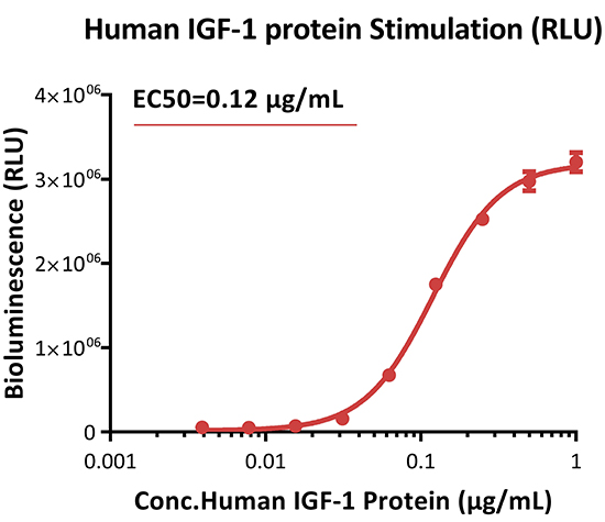 IGF-1R功能细胞株生物信号检测