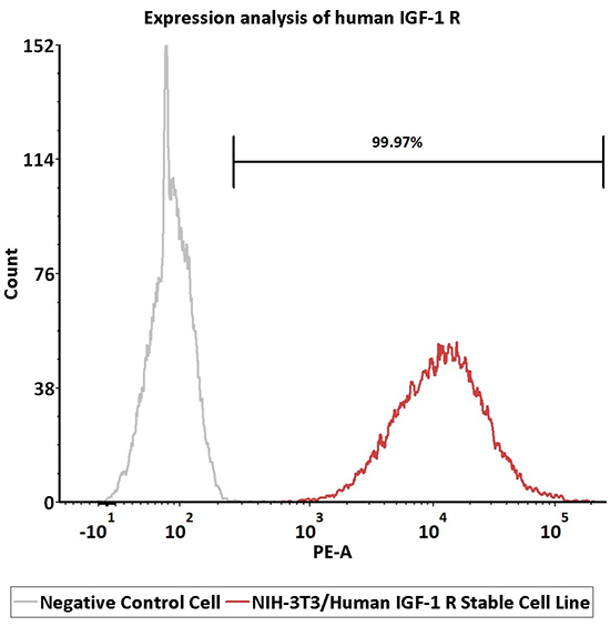 IGF-1R过表达细胞株表达验证