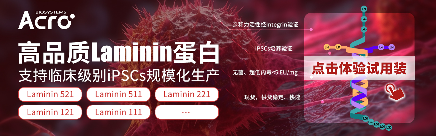 laminin蛋白