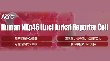 【免疫新思路】首款NKp46三抗在华临床实验获批