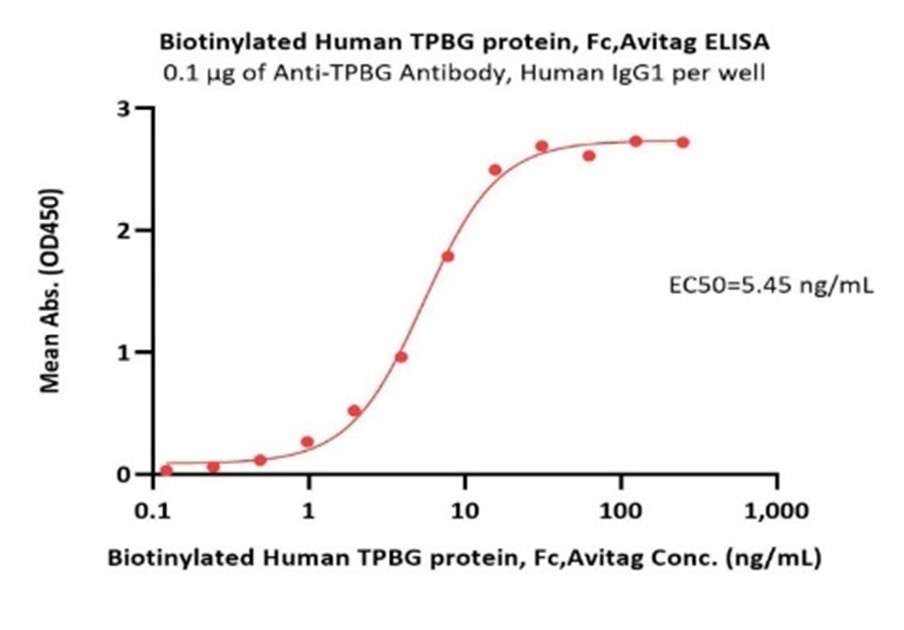 滋养层细胞糖蛋白（TPBG）