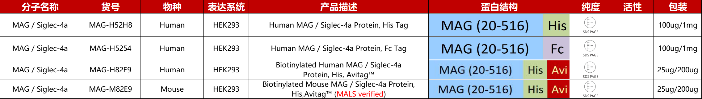 MAG / Siglec-4A重组蛋白