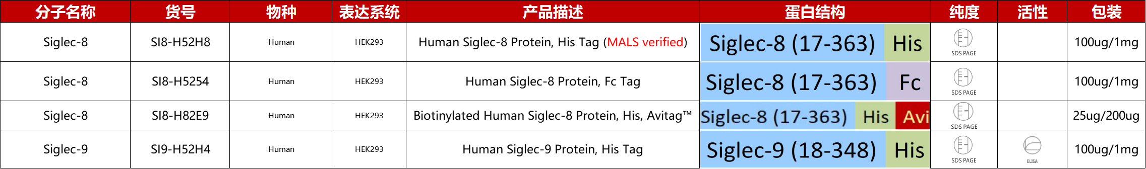 Siglec-8重组蛋白