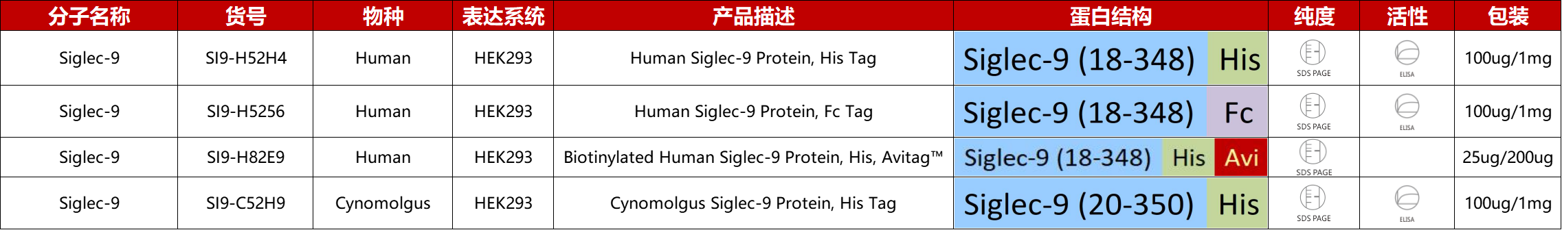 Siglec-9重组蛋白